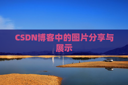 CSDN博客中的图片分享与展示